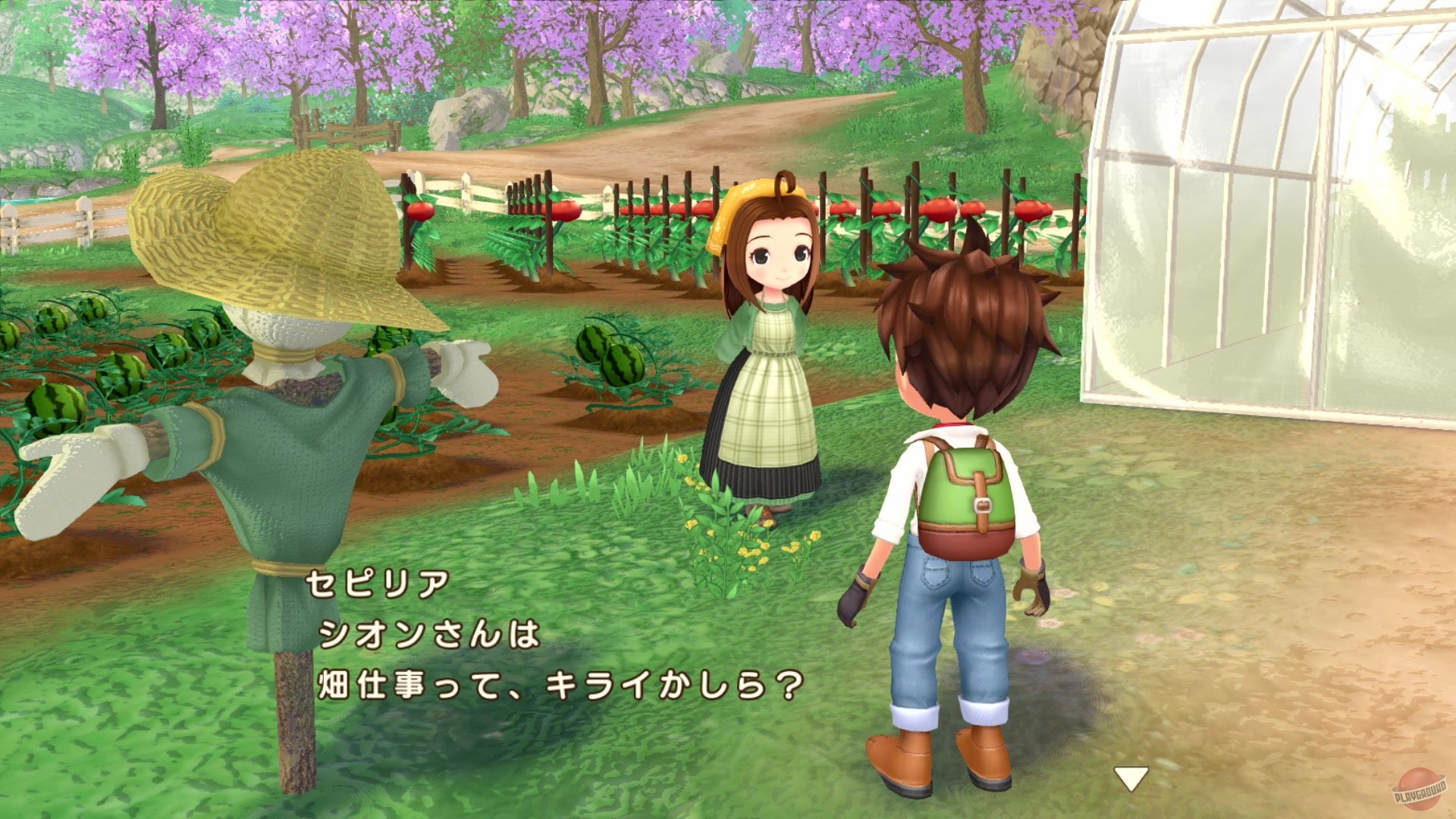 Скриншот из игры Story of Seasons: A Wonderful Life - 49