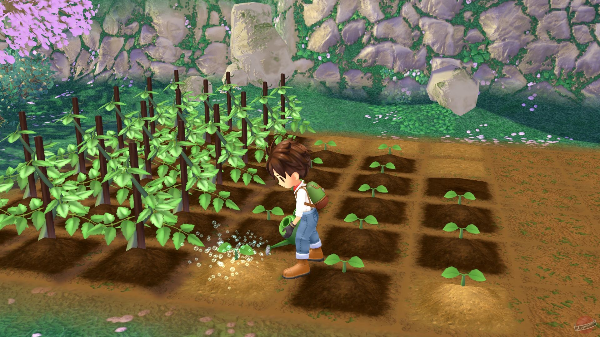 Скриншот из игры Story of Seasons: A Wonderful Life - 37