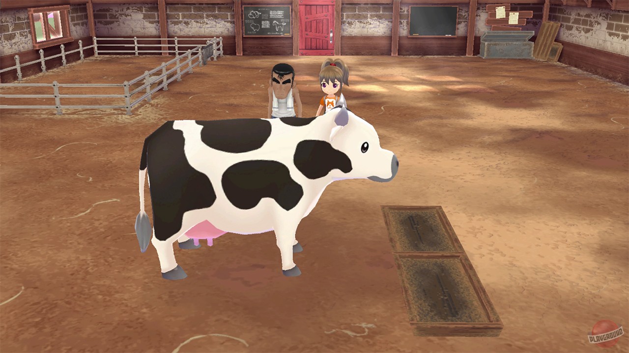 Скриншот из игры Story of Seasons: A Wonderful Life - 5