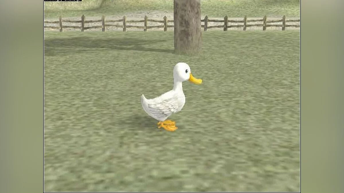 Скриншот из игры Story of Seasons: A Wonderful Life - 60