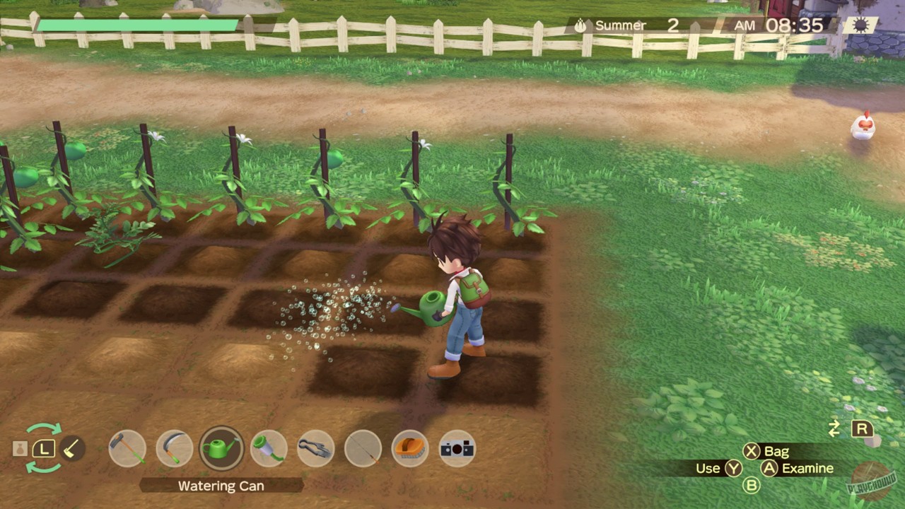 Скриншот из игры Story of Seasons: A Wonderful Life - 15