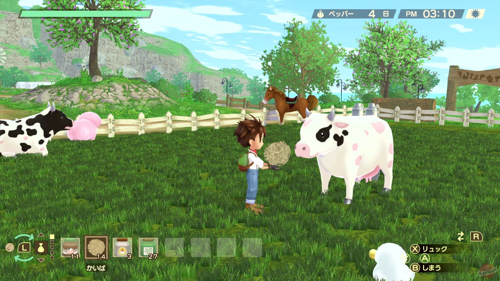 Скриншот из игры Story of Seasons: A Wonderful Life - 40