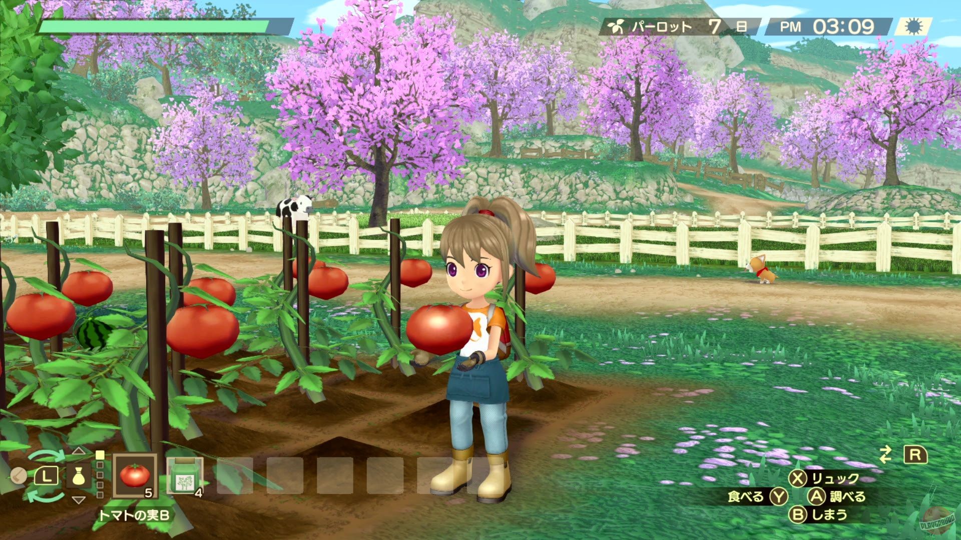 Скриншот из игры Story of Seasons: A Wonderful Life - 42