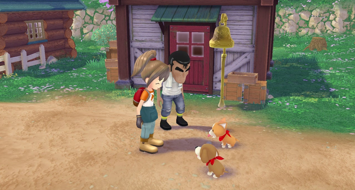 Скриншот из игры Story of Seasons: A Wonderful Life - 2