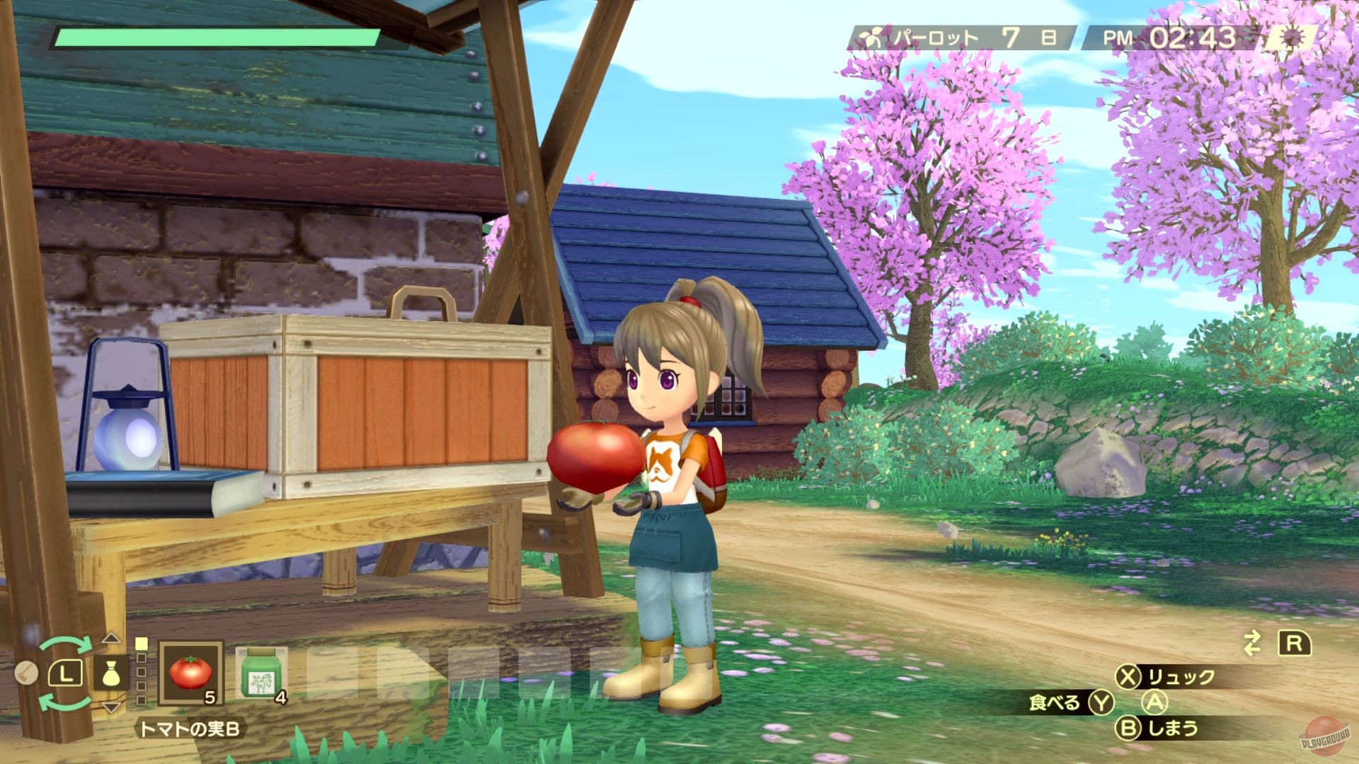 Скриншот из игры Story of Seasons: A Wonderful Life - 41