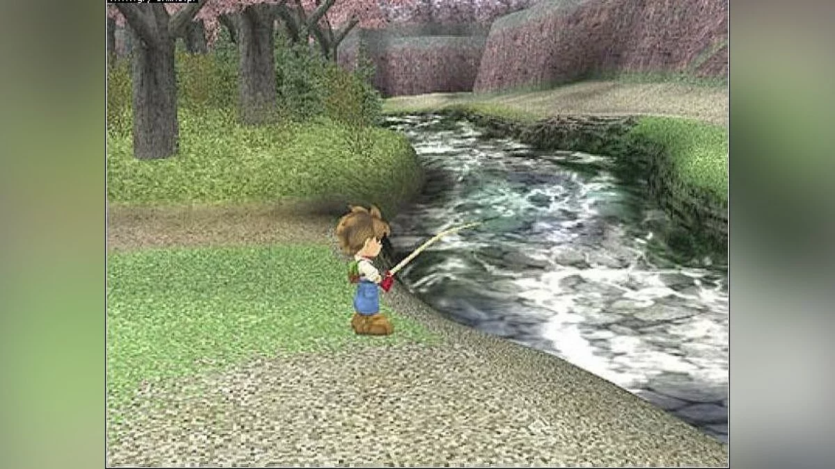 Скриншот из игры Story of Seasons: A Wonderful Life - 71