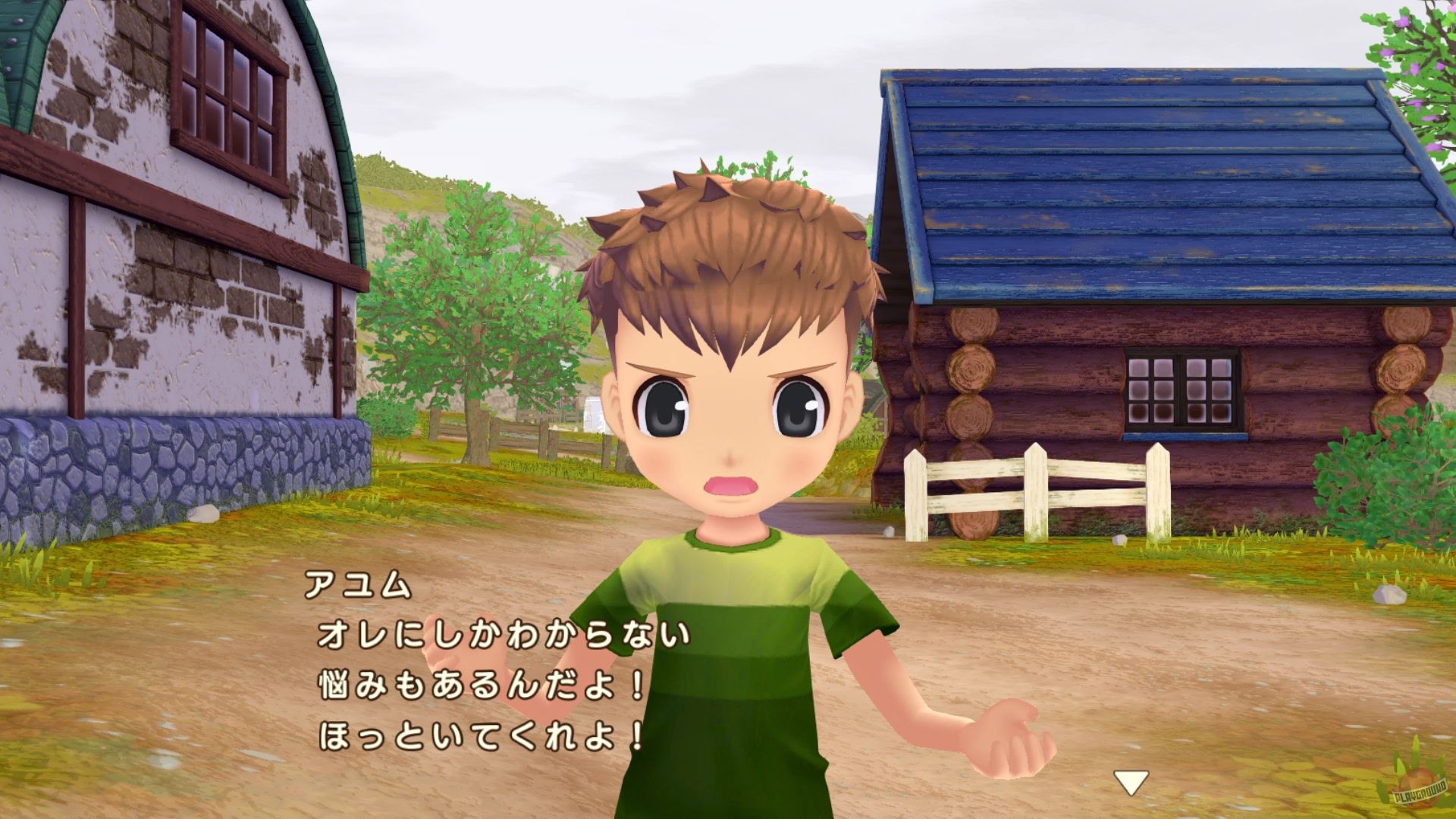 Скриншот из игры Story of Seasons: A Wonderful Life - 50