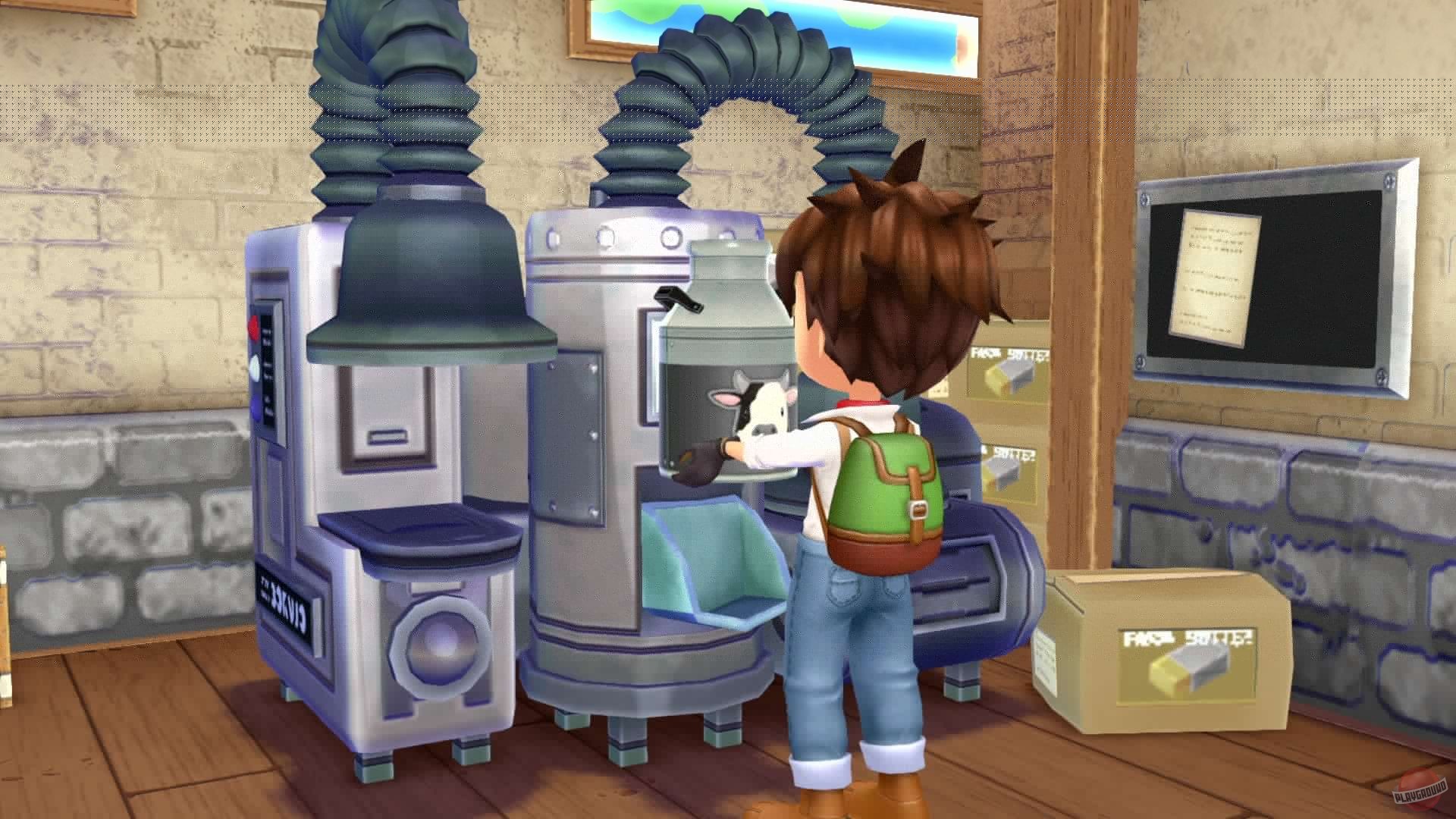 Скриншот из игры Story of Seasons: A Wonderful Life - 33