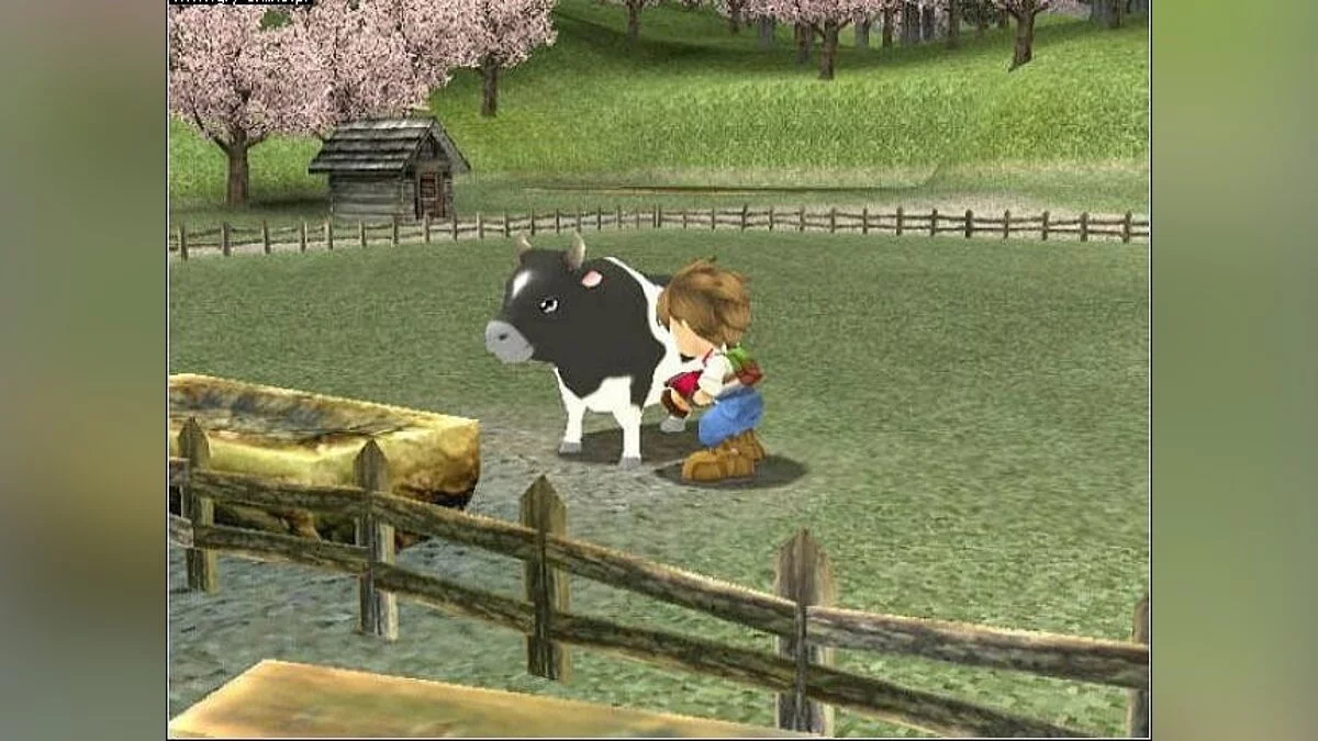 Скриншот из игры Story of Seasons: A Wonderful Life - 67