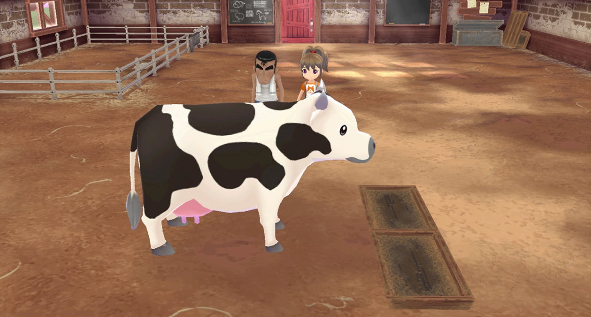 Скриншот из игры Story of Seasons: A Wonderful Life - 8