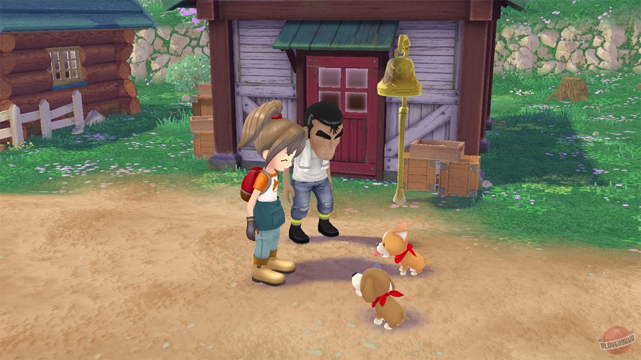 Скриншот из игры Story of Seasons: A Wonderful Life - 13