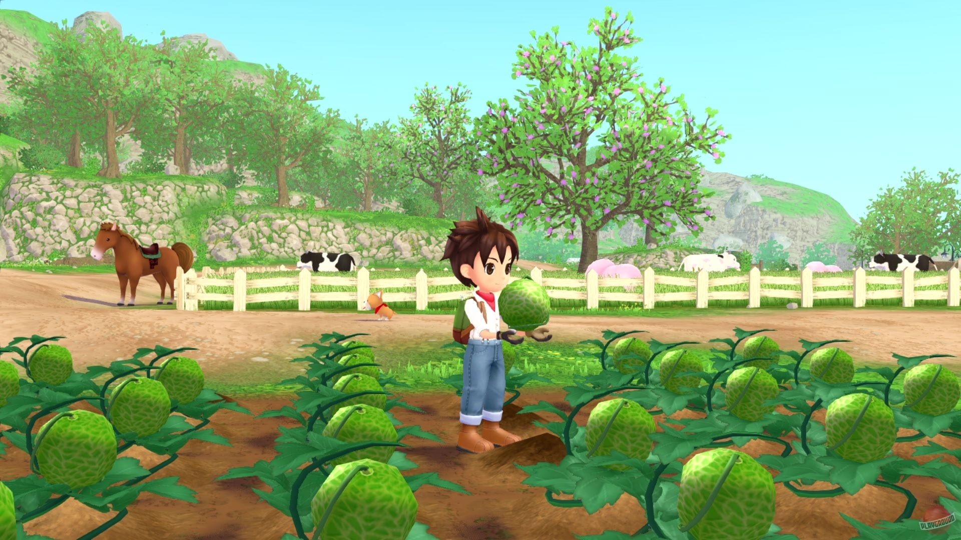 Скриншот из игры Story of Seasons: A Wonderful Life - 12