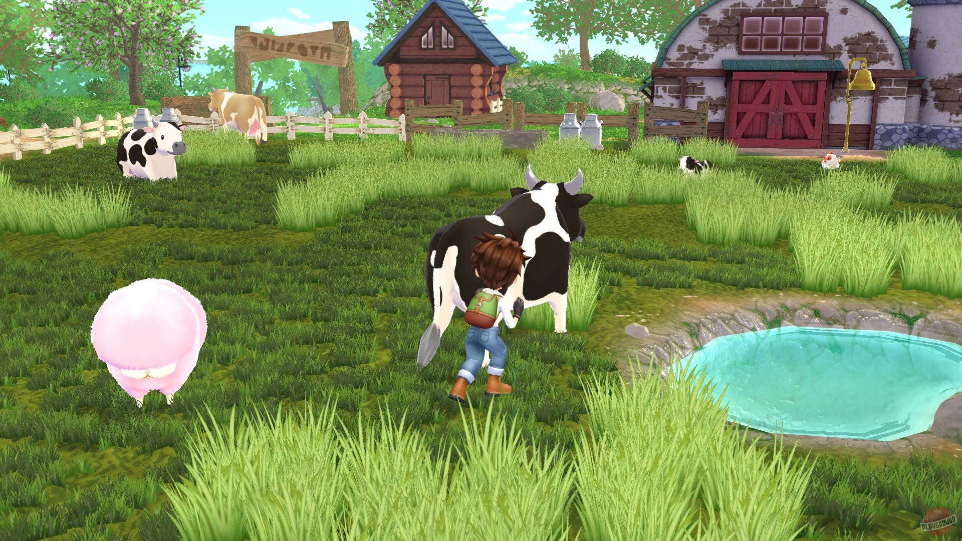 Скриншот из игры Story of Seasons: A Wonderful Life - 36