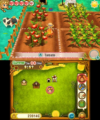 Скриншот из игры Story of Seasons: Trio of Towns - 10
