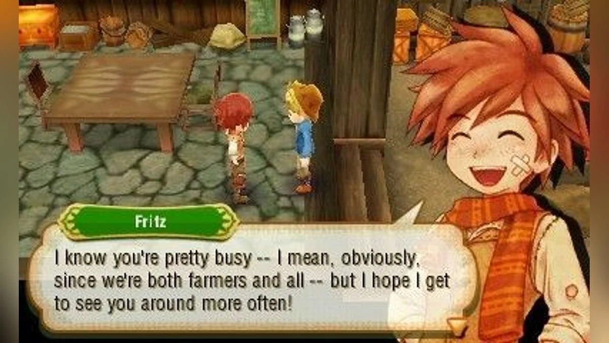 Скриншот из игры Story of Seasons - 19