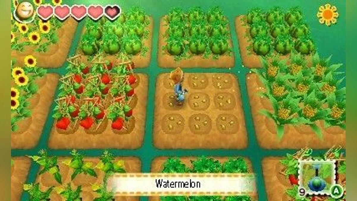 Скриншот из игры Story of Seasons - 27