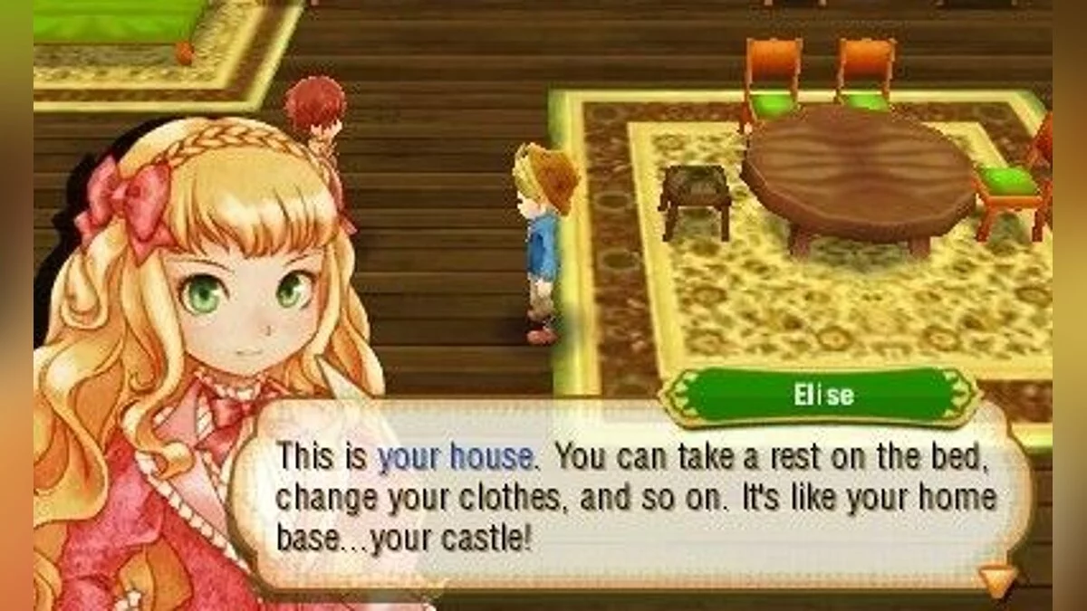 Скриншот из игры Story of Seasons - 22