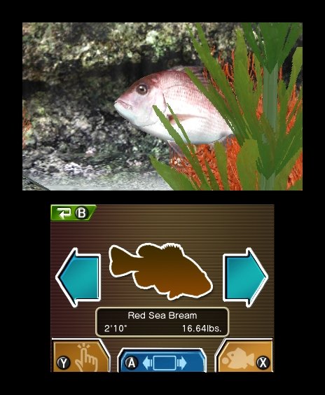 Скриншот из игры Reel Fishing Paradise 3D - 16