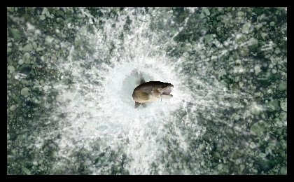 Скриншот из игры Reel Fishing Paradise 3D - 52