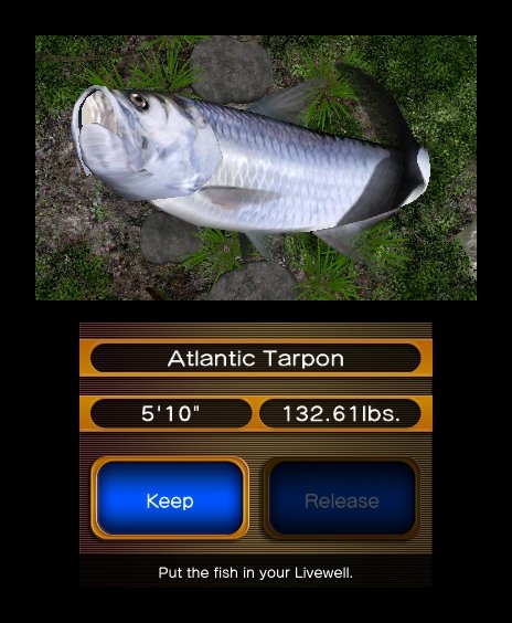 Скриншот из игры Reel Fishing Paradise 3D - 48