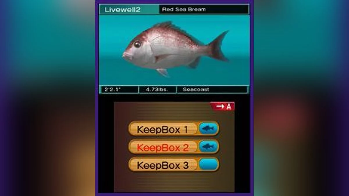 Скриншот из игры Reel Fishing Paradise 3D - 2