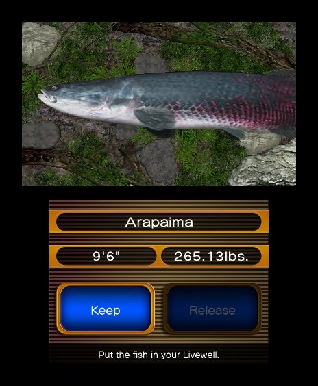 Скриншот из игры Reel Fishing Paradise 3D - 37