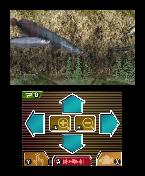 Скриншот из игры Reel Fishing Paradise 3D - 17