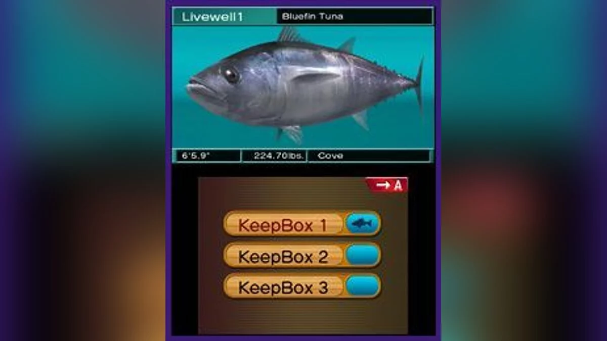 Скриншот из игры Reel Fishing Paradise 3D - 7
