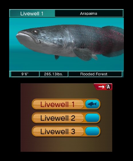 Скриншот из игры Reel Fishing Paradise 3D - 20