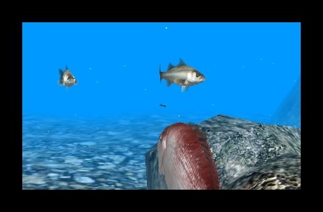Скриншот из игры Reel Fishing Paradise 3D - 42