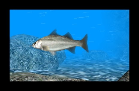 Скриншот из игры Reel Fishing Paradise 3D - 23