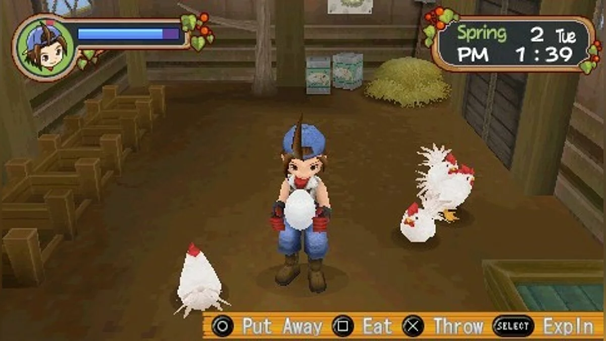 Скриншот из игры Harvest Moon: Hero of Leaf Valley - 18