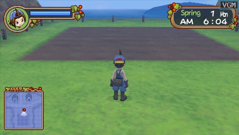 Скриншот из игры Harvest Moon: Hero of Leaf Valley - 14