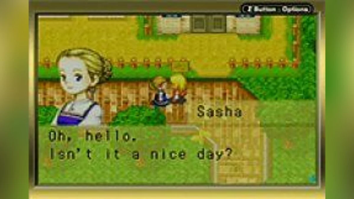 Скриншот из игры Harvest Moon: More Friends of Mineral Town - 2