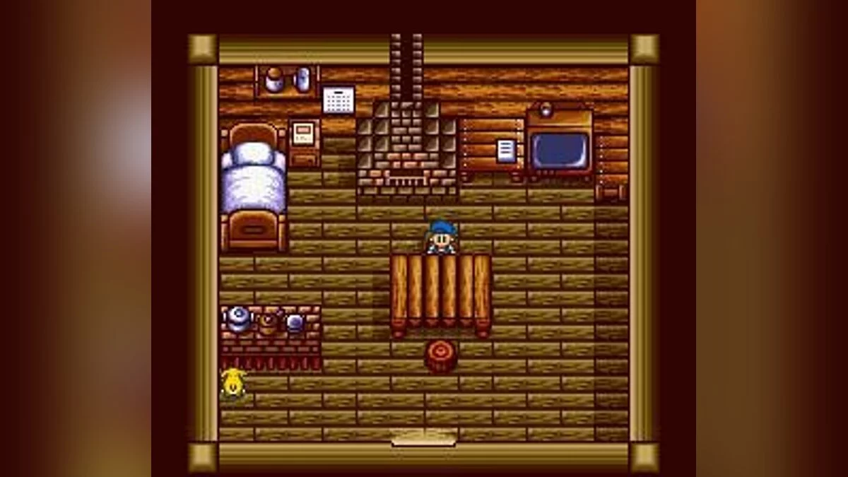 Скриншот из игры Harvest Moon: More Friends of Mineral Town - 4