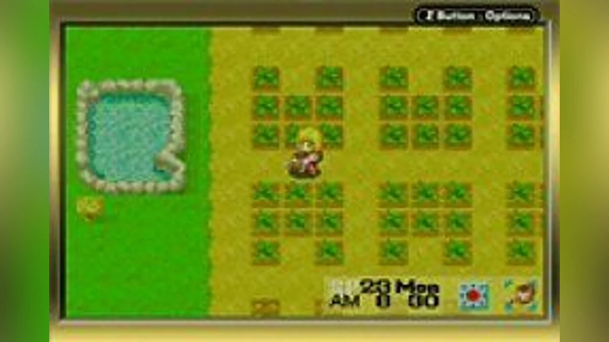 Скриншот из игры Harvest Moon: More Friends of Mineral Town - 7