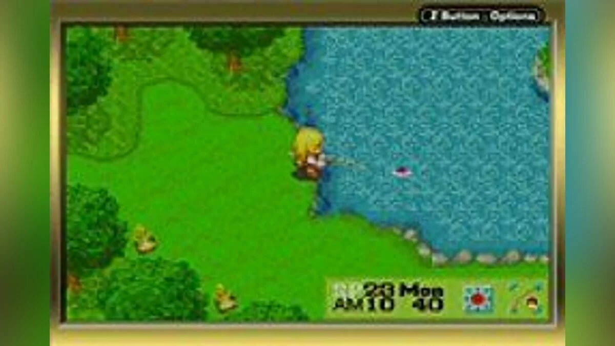 Скриншот из игры Harvest Moon: More Friends of Mineral Town - 8