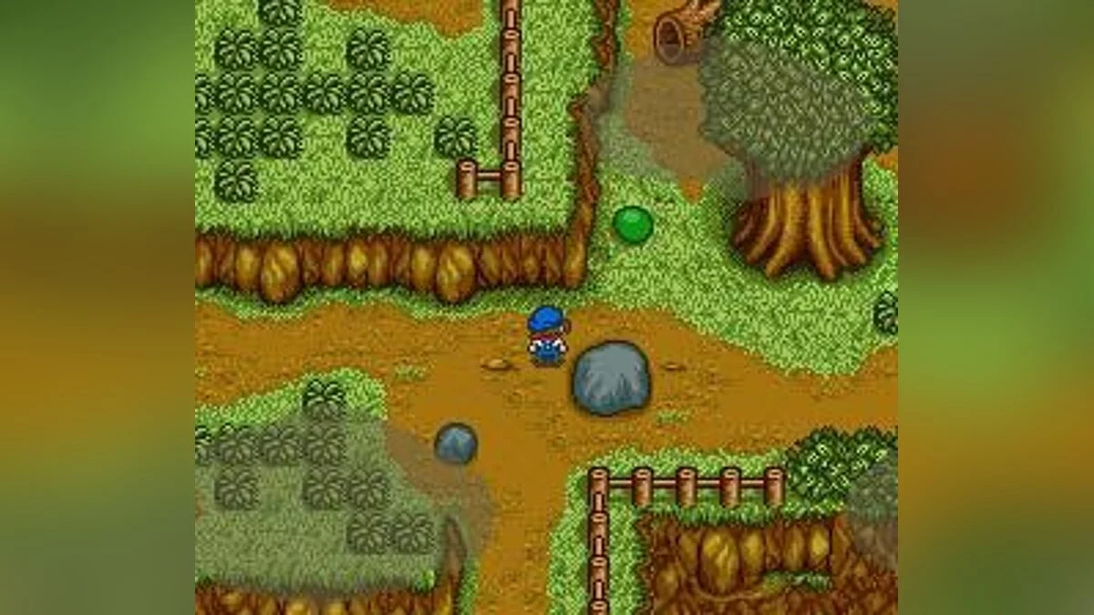 Скриншот из игры Harvest Moon: More Friends of Mineral Town - 5