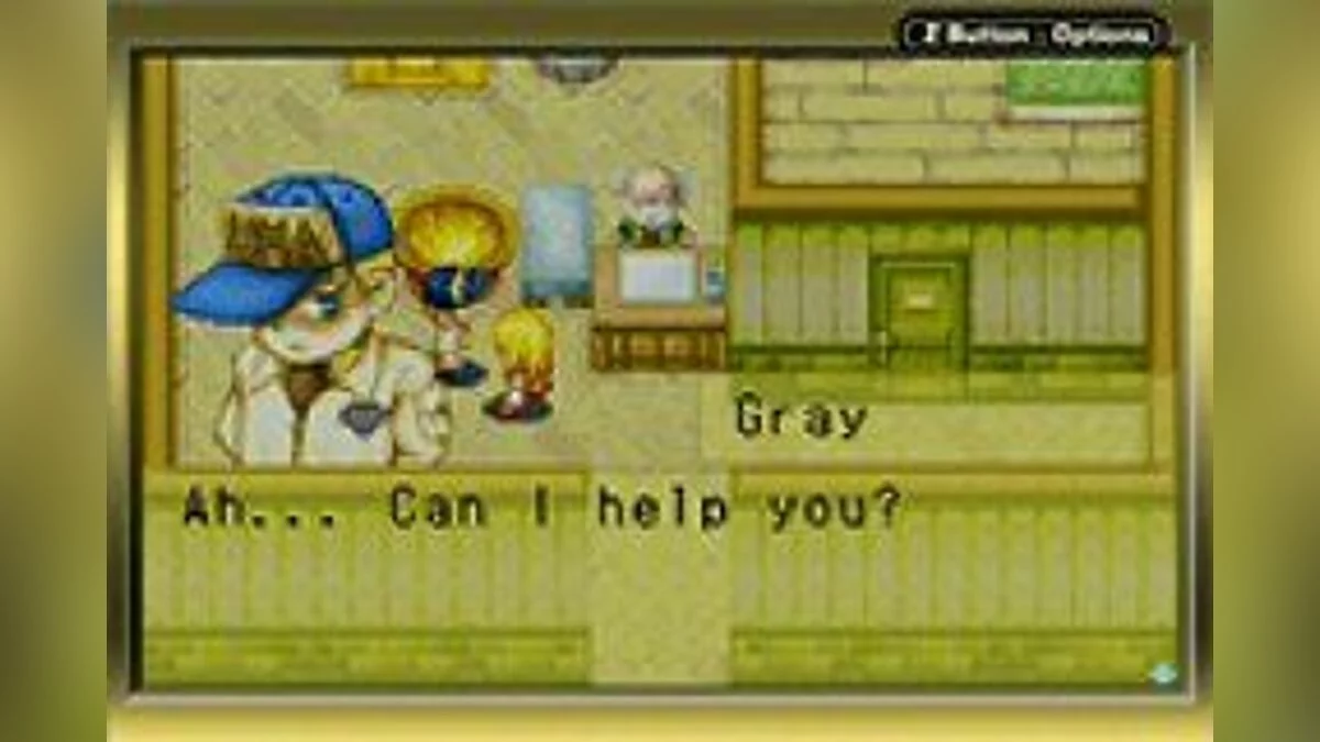 Скриншот из игры Harvest Moon: More Friends of Mineral Town - 9