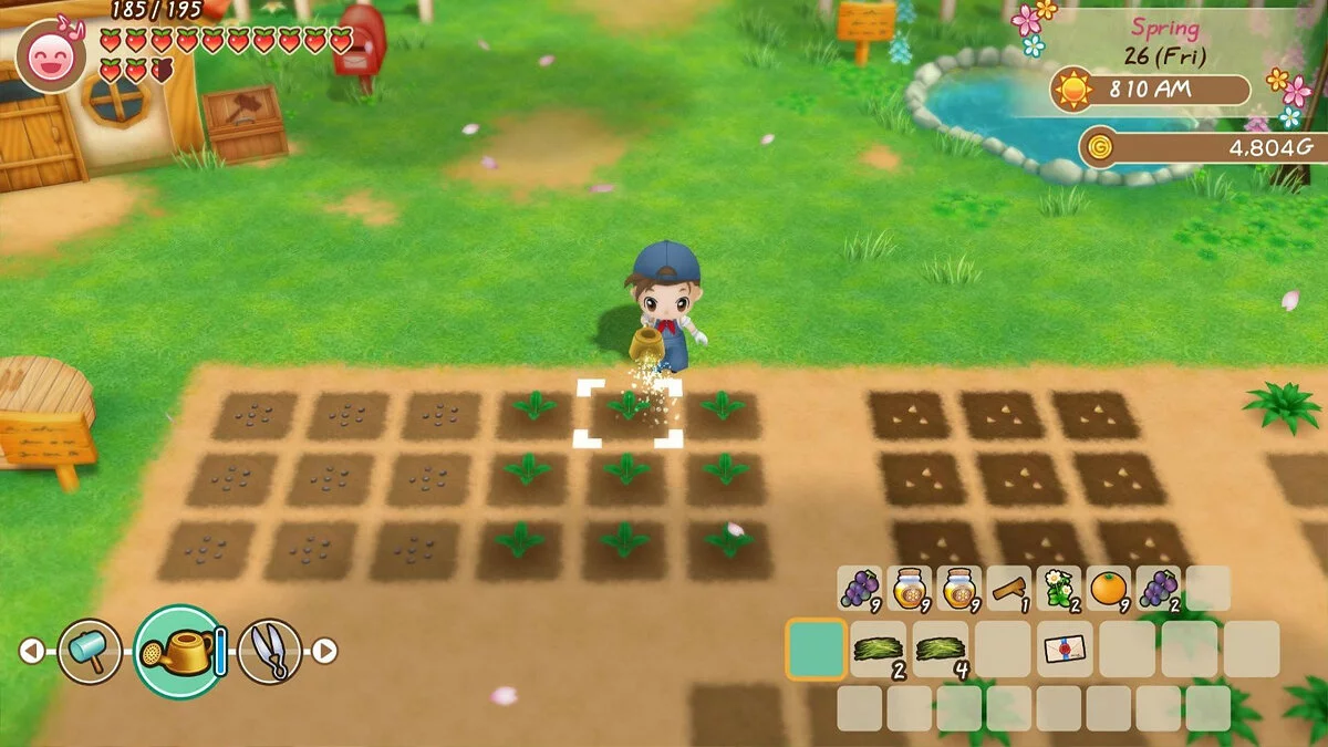 Скриншот из игры STORY OF SEASONS: Friends of Mineral Town - 17