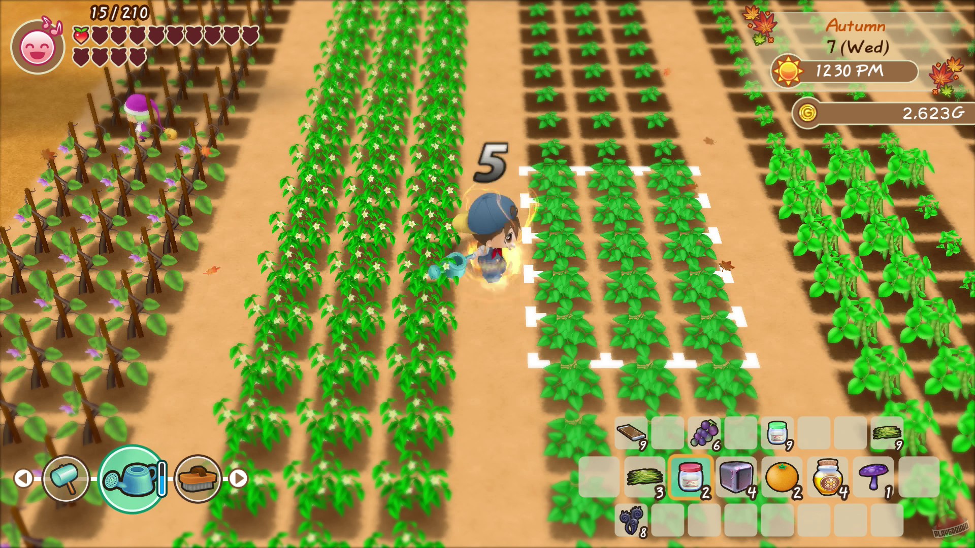 Скриншот из игры STORY OF SEASONS: Friends of Mineral Town - 15