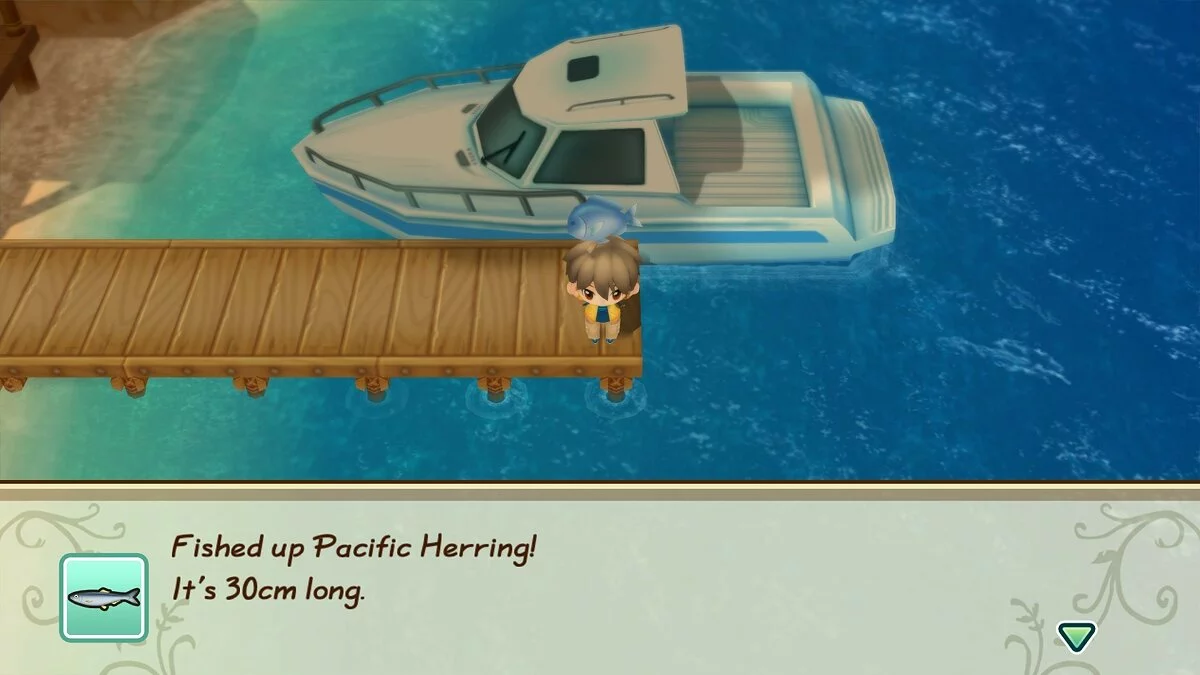 Скриншот из игры STORY OF SEASONS: Friends of Mineral Town - 12