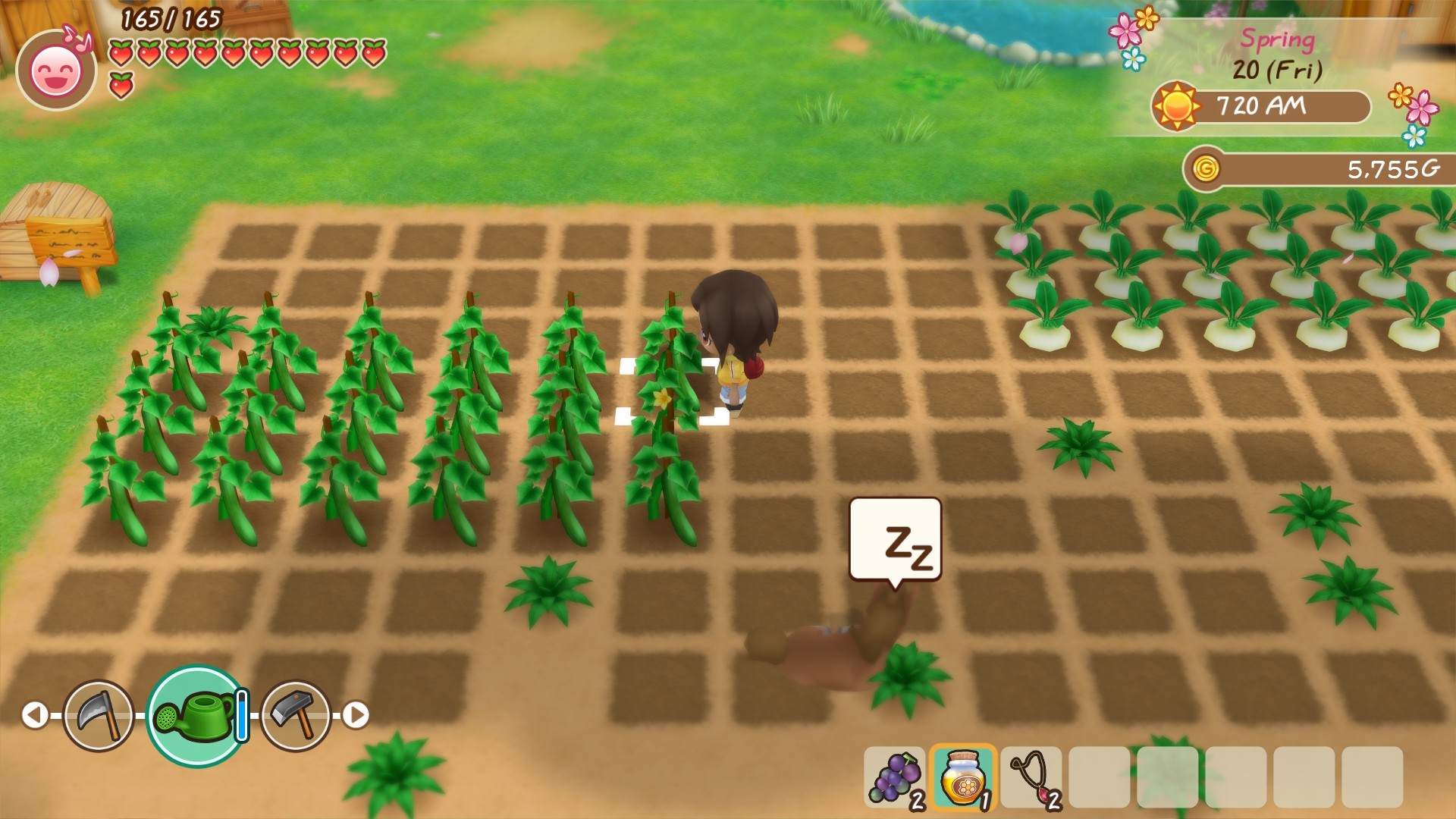 Скриншот из игры STORY OF SEASONS: Friends of Mineral Town - 3