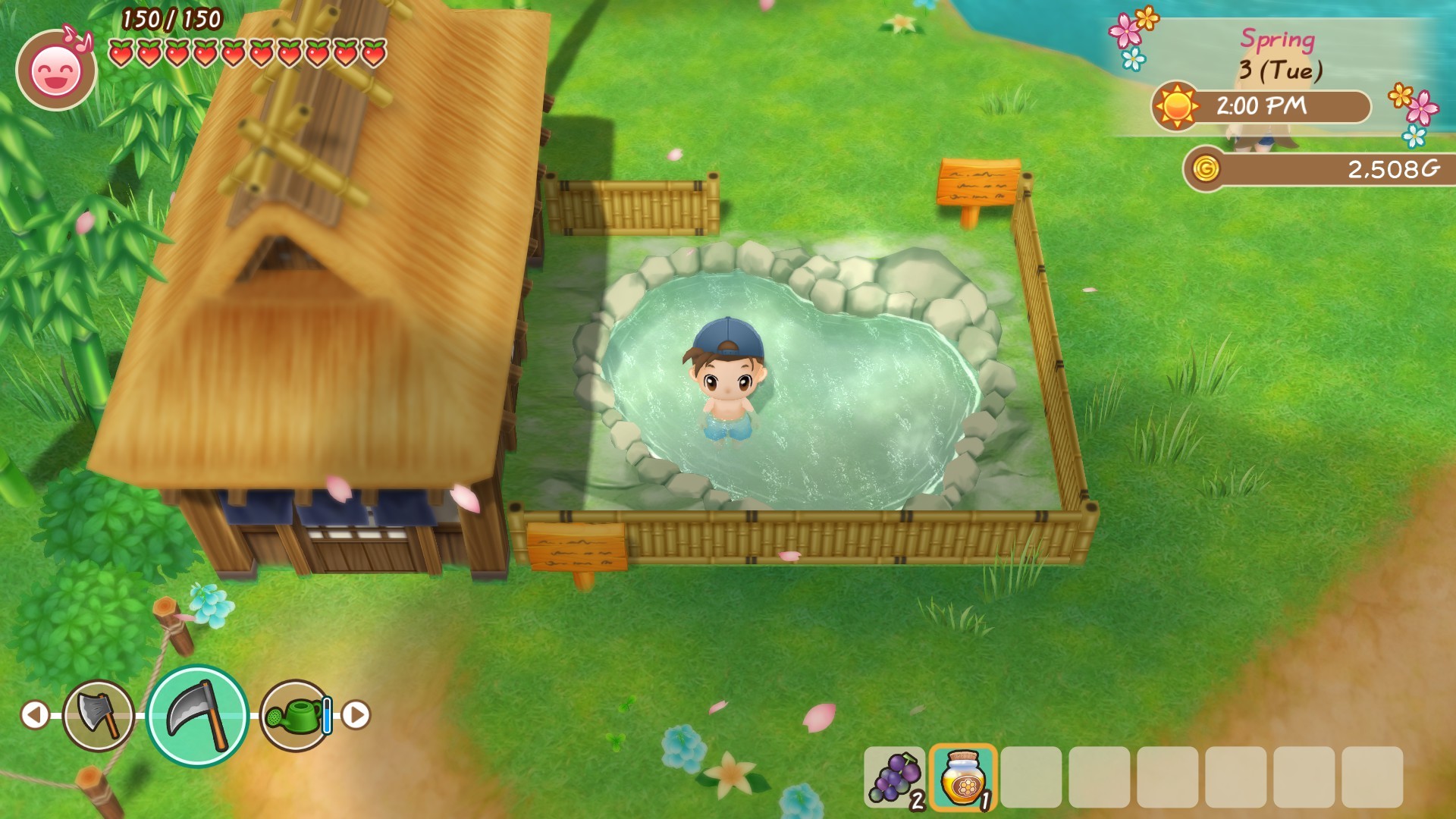 Скриншот из игры STORY OF SEASONS: Friends of Mineral Town - 9