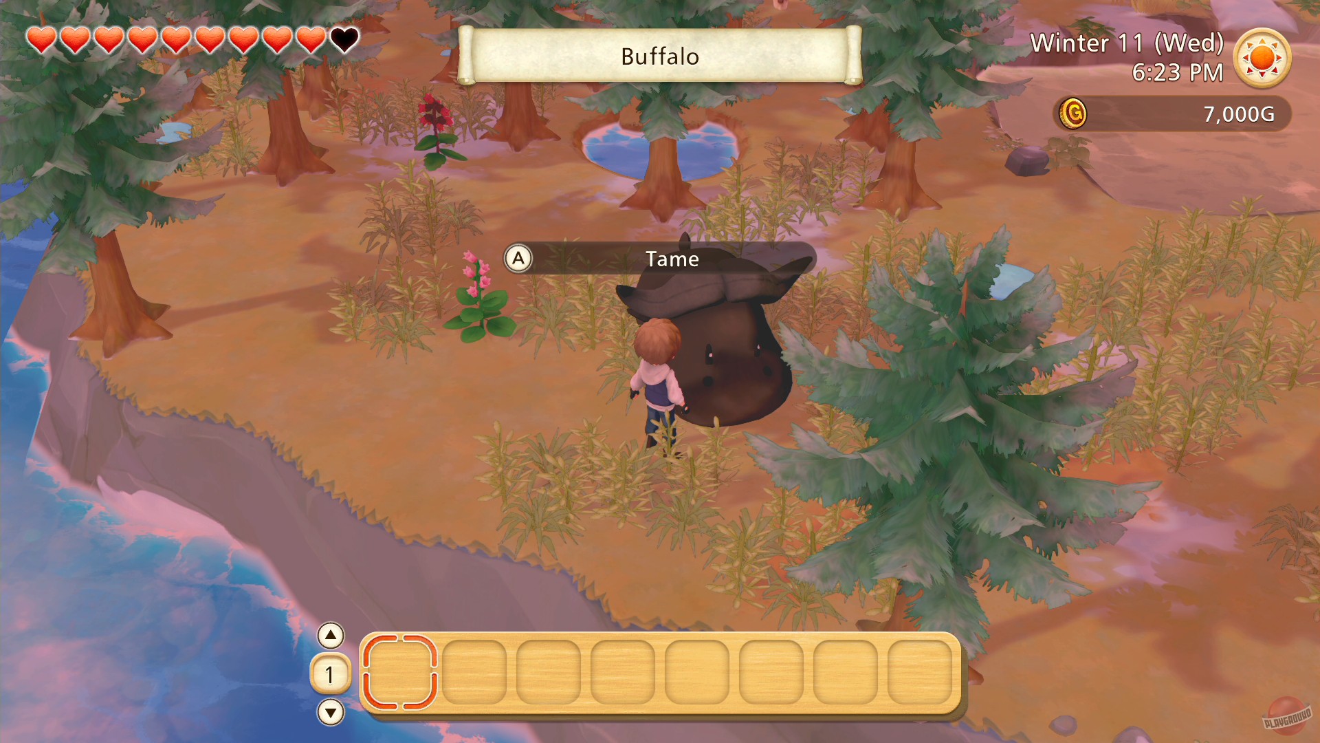 Скриншот из игры STORY OF SEASONS: Pioneers of Olive Town - 65