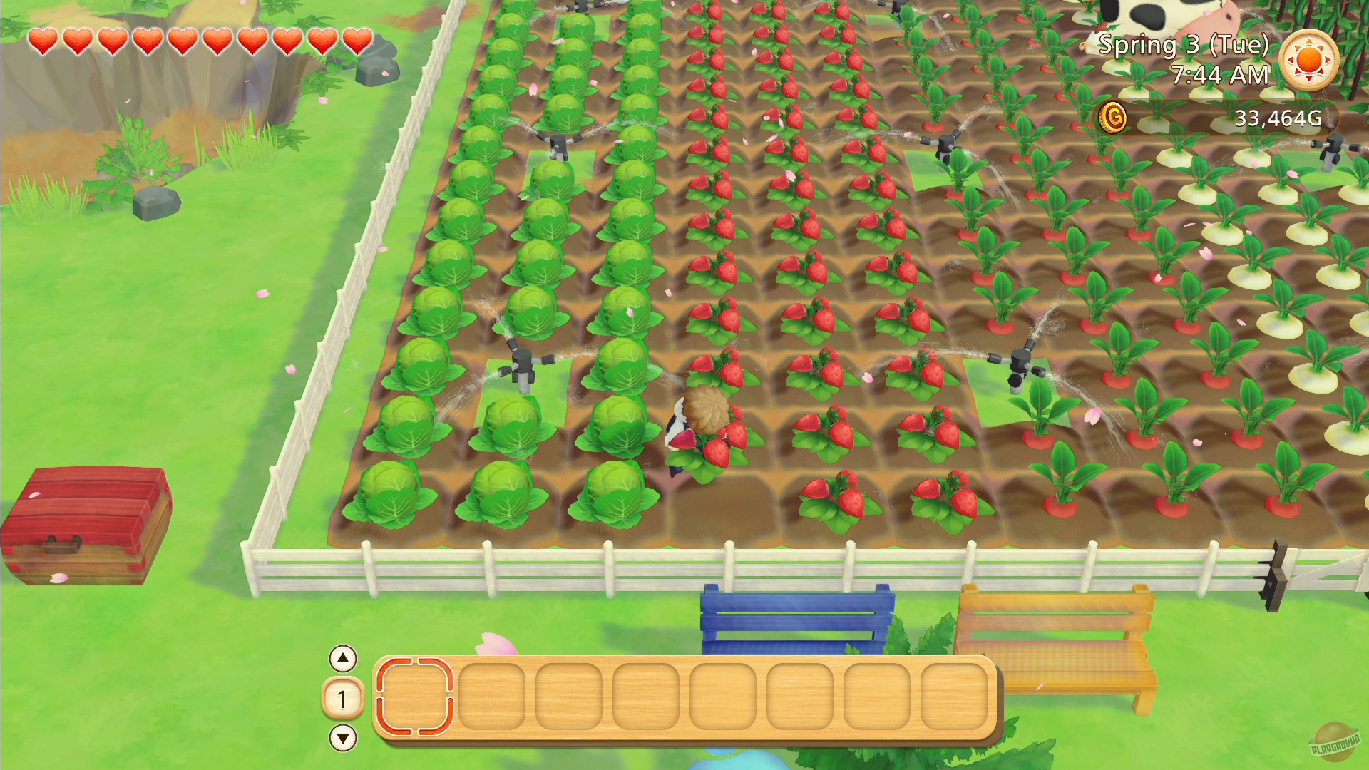 Скриншот из игры STORY OF SEASONS: Pioneers of Olive Town - 69