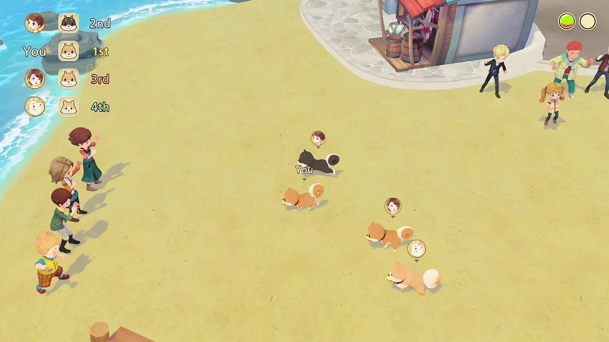 Скриншот из игры STORY OF SEASONS: Pioneers of Olive Town - 25