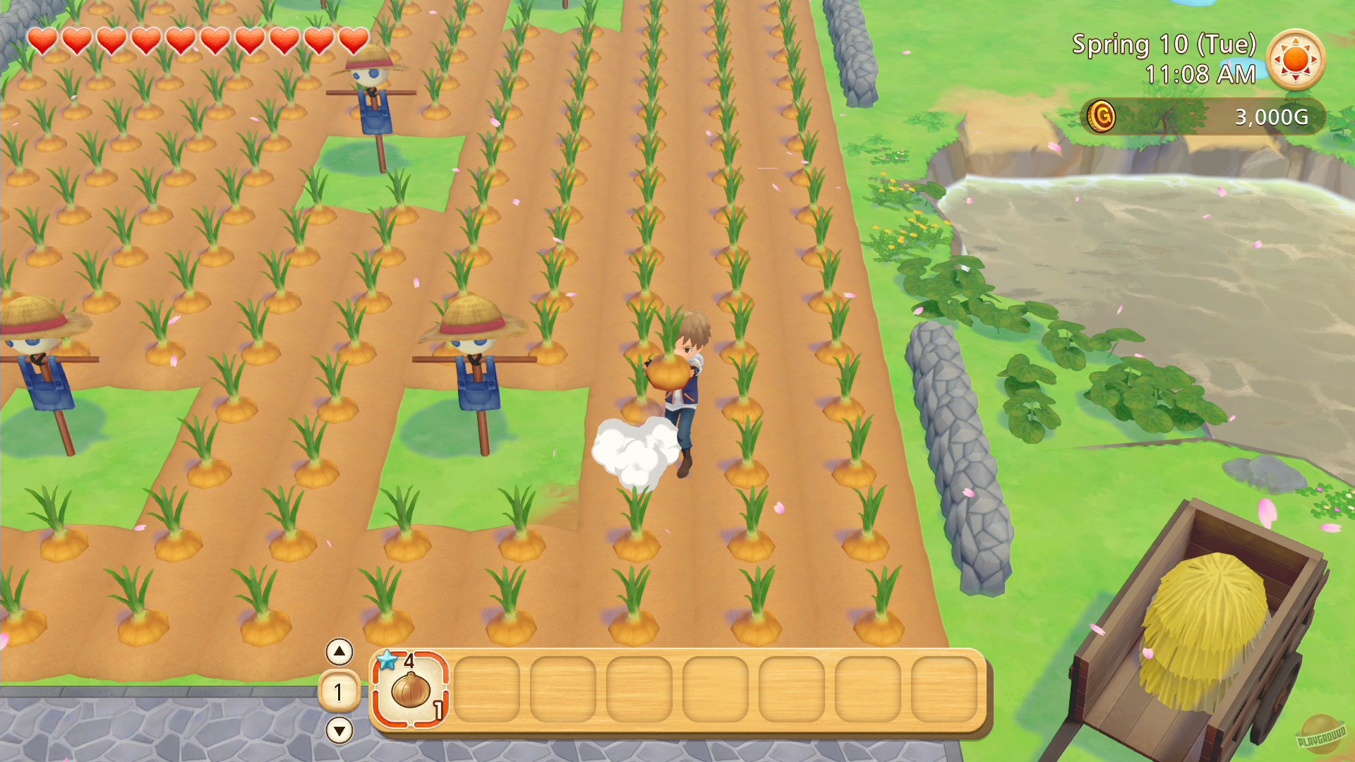 Скриншот из игры STORY OF SEASONS: Pioneers of Olive Town - 73