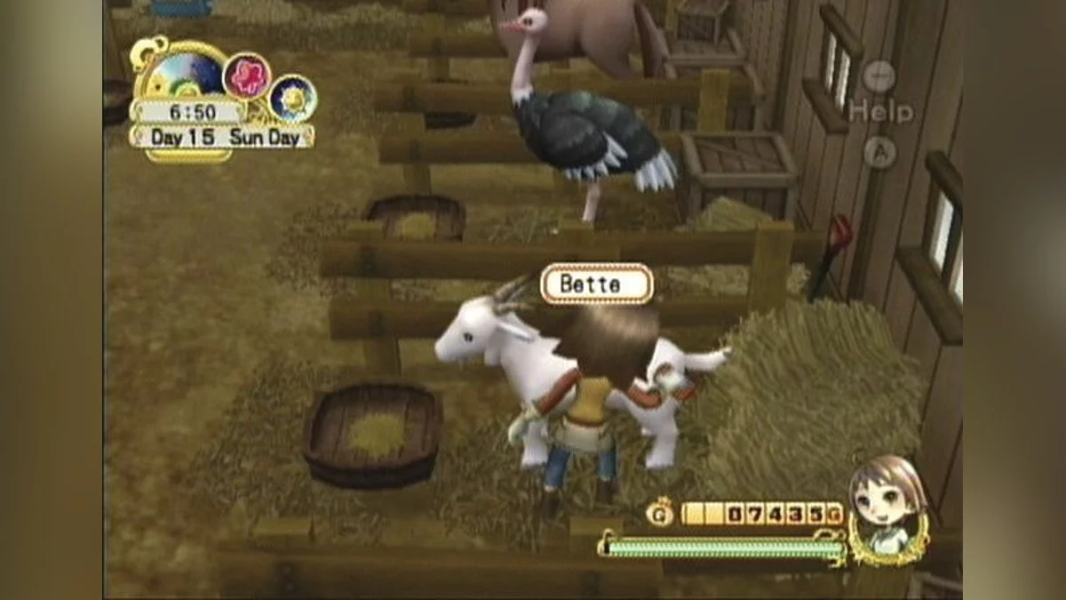 Скриншот из игры Harvest Moon: Tree of Tranquility - 3