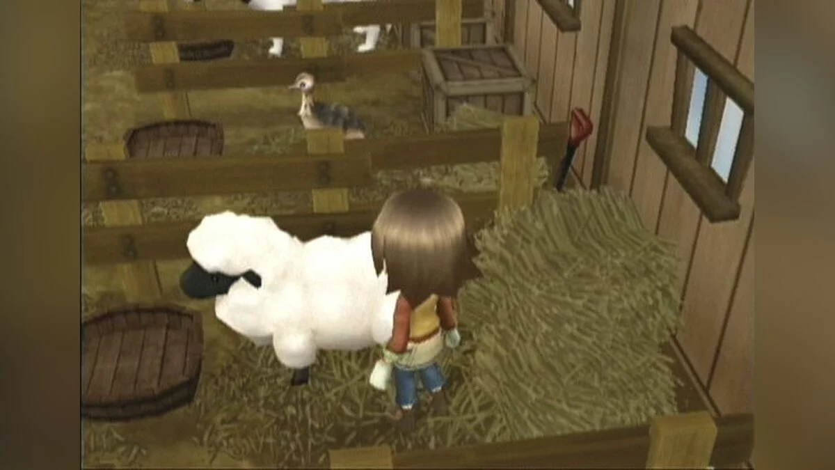 Скриншот из игры Harvest Moon: Tree of Tranquility - 4